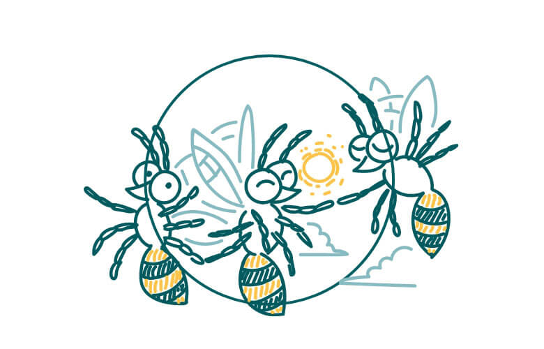 des abeilles dans la ruche