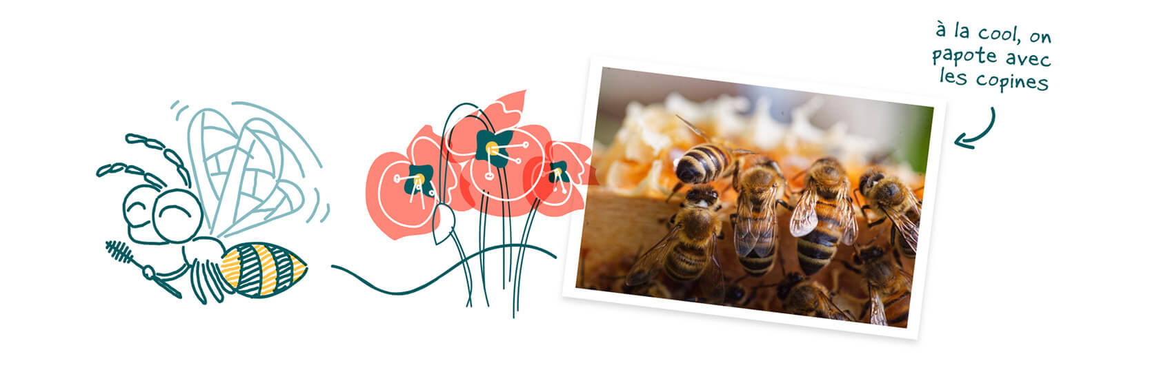 apiculture à dijon en bourgogne